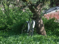 2016-05-10 13h08m01 - Fiets bij vuurtoren - Gerda van der Meer